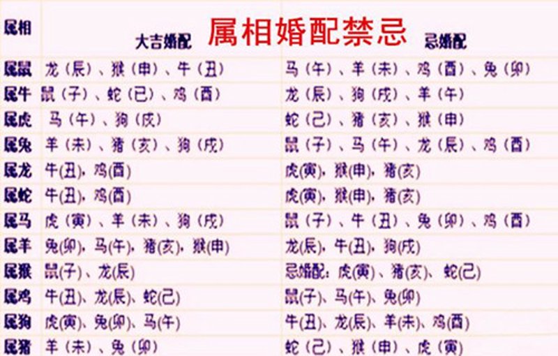 如何选择优质婚恋服务 —— 大连婚恋公司的选购指南