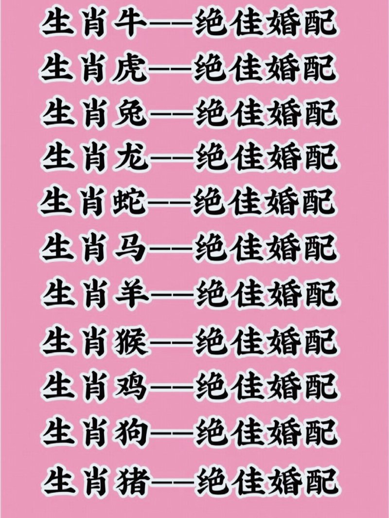 大连婚姻服务行业新风向：见证爱情的温馨港湾
