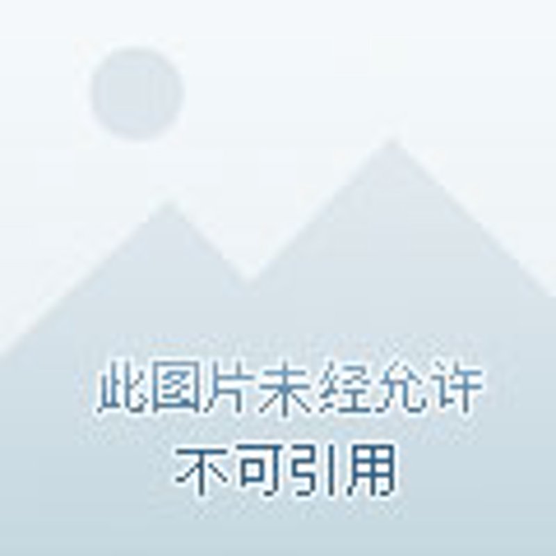 高端婚恋:打造爱情的专属定制