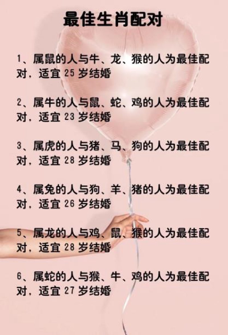 寻找理想伴侣：婚恋介绍平台选购指南